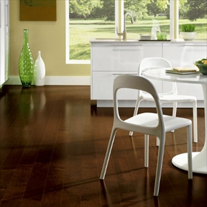 American Exotics Maple